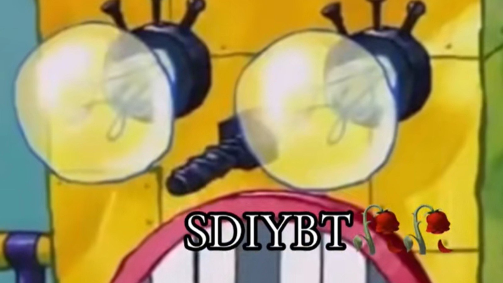 SDIYBT